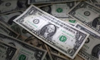 暴跌的“白马股” 性价比已然出现？基金经理公开唱多