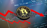 着力提升路网质量 做好红树林保护修复规划